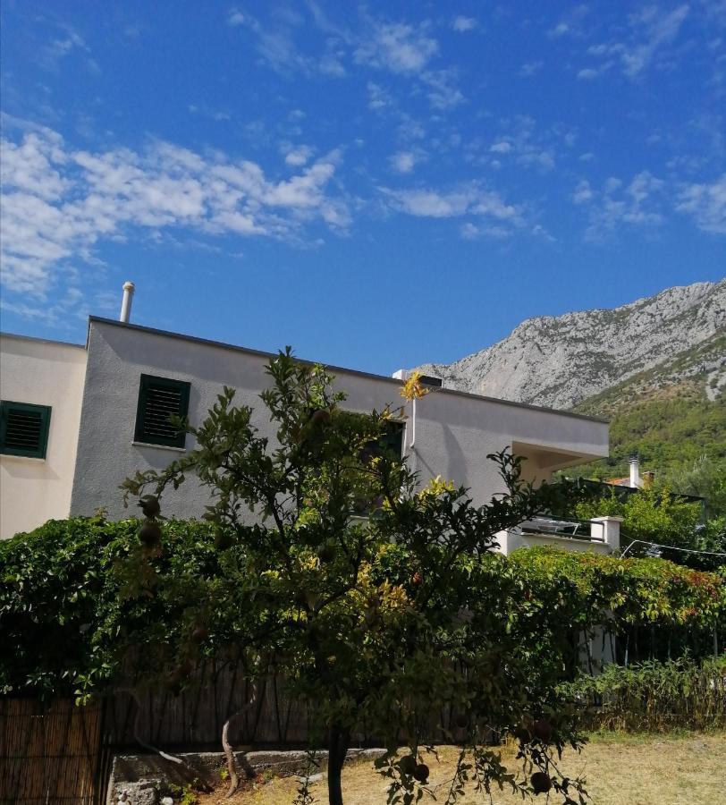 Apartmani Laguna Gradac  Eksteriør billede